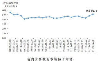 柚子币的价格走势